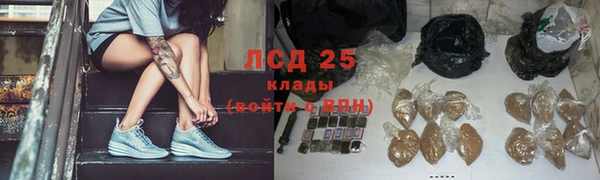 спайс Богданович