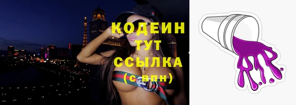 спайс Богданович