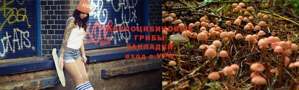 спайс Богданович