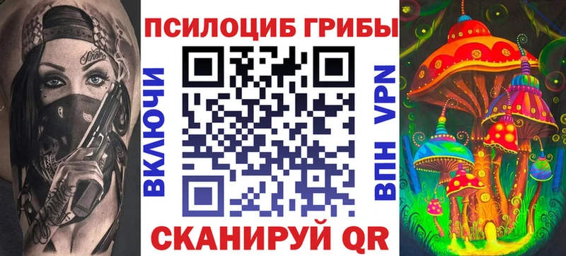 Псилоцибиновые грибы Psilocybe  Елизаветинская 