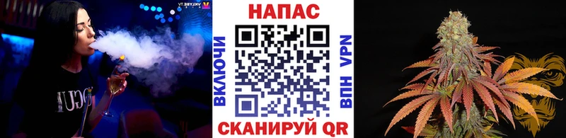 Канабис MAZAR  наркотики  Елизаветинская 